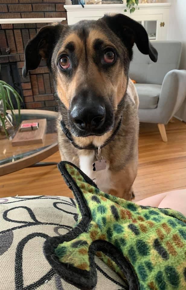 Rebecca Channer tweet media