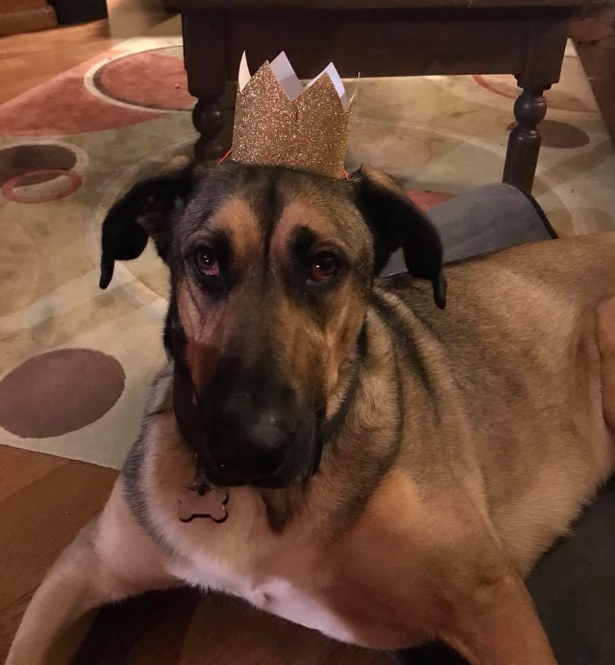 Rebecca Channer tweet media