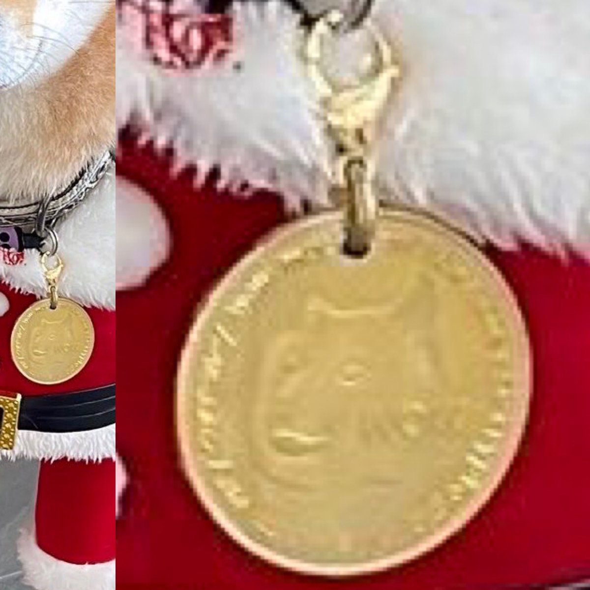 Matt Wallace tweet media