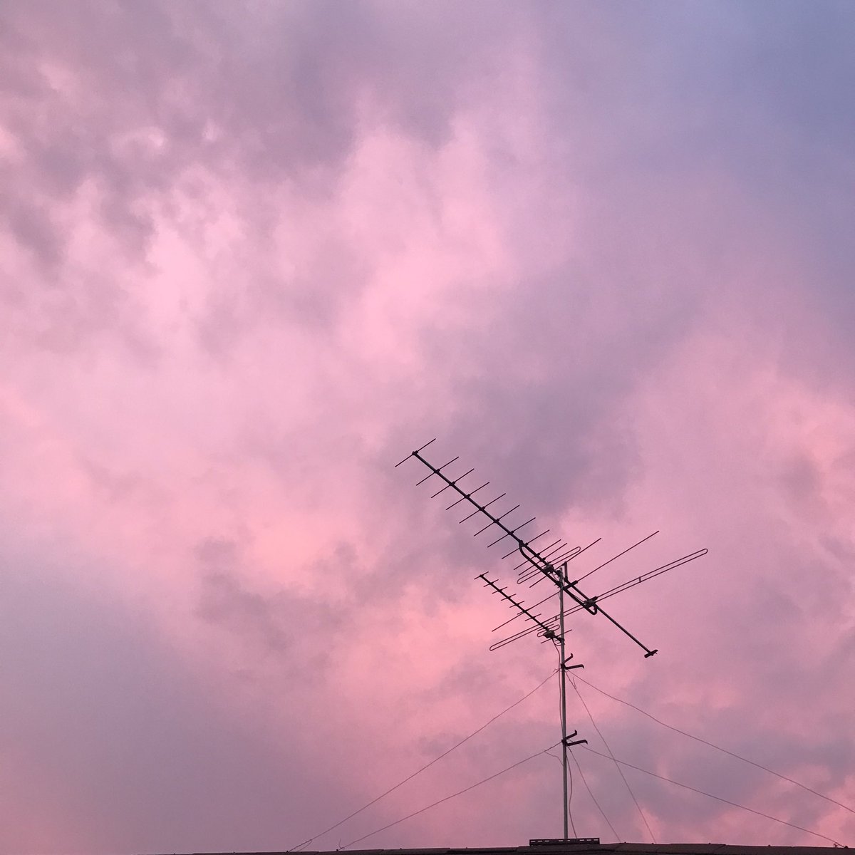 HNY &amp; January Wish 🐯💖
ปีเสือปีนี้ก็ขอให้ทุกคนมีพลังที่เข้มเเข็งเหมือนเสือ สู้กับทุกเรื่องที่เข้ามา ยิ้มเยอะๆ สุขภาพร่างกายแข็งแรงไม่มีโรคภัย คนเก่ง เก่งมากเเล้วน้าที่ผ่านมาได้ ปีนี้มาสู้ด้วยกันต่อค้าบ