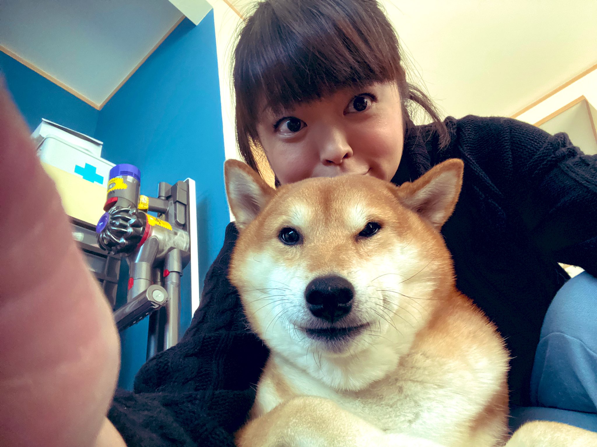 Loveco 新年明けましておめでとうございます O 22年もどうぞ宜しくお願いいたしますm M 愛犬 柴犬 癒し ペット サブちゃん 22年 明けましておめでとう 新年 Japan ウルトラマン大好き T Co 0glbu8ks0b Twitter