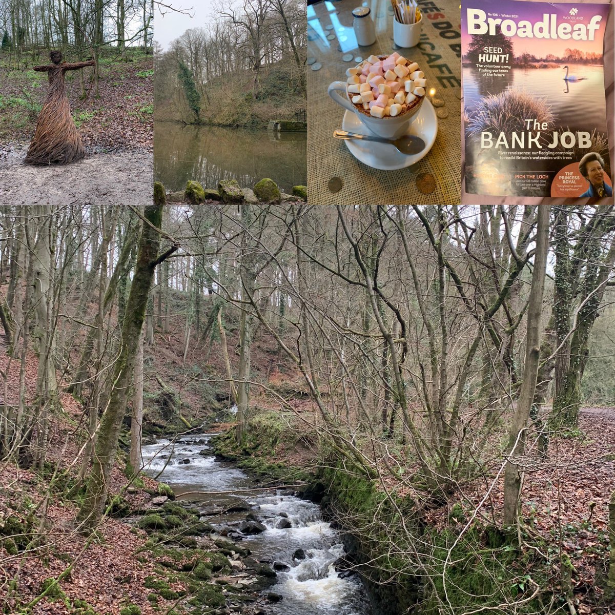 Took a restorative pre-Christmas break in beautiful Skipton, North Yorkshire. Loved exploring <a href="/SkiptonWoodsWT/">Skipton Castle Woods - Woodland Trust</a> managed by the @WoodlandTrust, and relaxing afterwards with a hot chocolate and the latest issue of Broadleaf ☺️