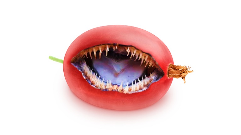 NfFrodo's tweet photo. @7digiart @VoiceHQ Caution: Do not feed the Wild Fruit!
🍊🐯🐗🍆🐊🦁🦎🍍🍏🍌🌵
https://t.co/iraH9O7Kde
#NFTCommunity #NFTs #NFTdrop #nftart #NFTcollections #OpenSeaNFT #NFT https://t.co/2qgxKChRQC
