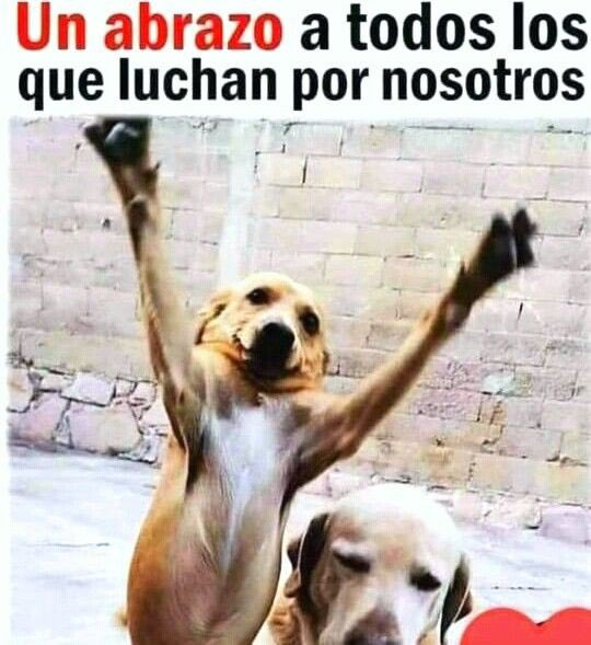 fundCeba's tweet photo. Feliz Año Nuevo para todos ! 
#NoMasPirotecnia https://t.co/06CiuPhCUY