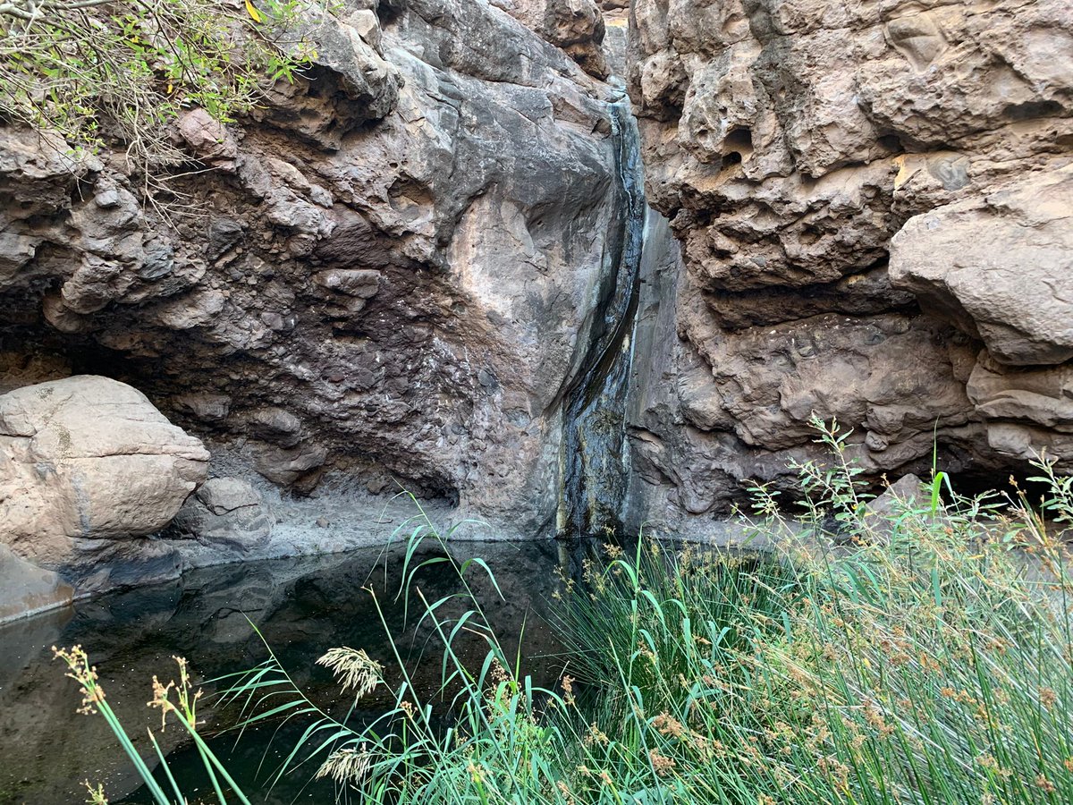 DCebSan's tweet photo. Última excursión del año en mi continente en miniatura: a 30º en el charco azul de @AytoAgaete y a 14º en el reverdecido Tamadaba en @ArtenaraAyto, pasando por la ruta de las presas y la tempestad petrificada de #Unamuno.
Día fenomenal por la familia y la meteorología! https://t.co/LiQBeRQaxG
