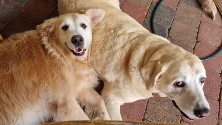 To all my friends in Japan. Bless you all and Happy New Year from us all.