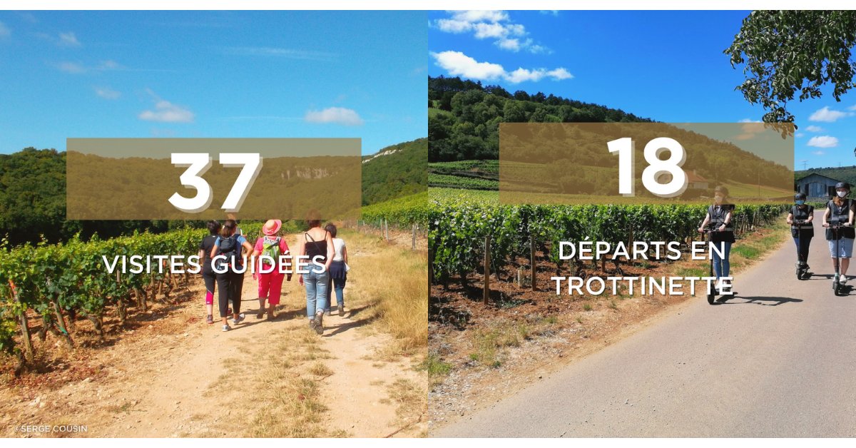 Gevrey Nuits Tourisme tweet media