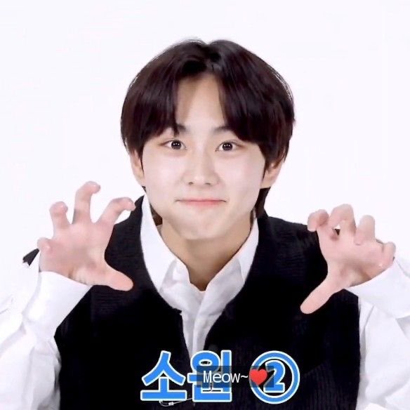 heesbb's tweet image. is there something u want to say to me before next year ?