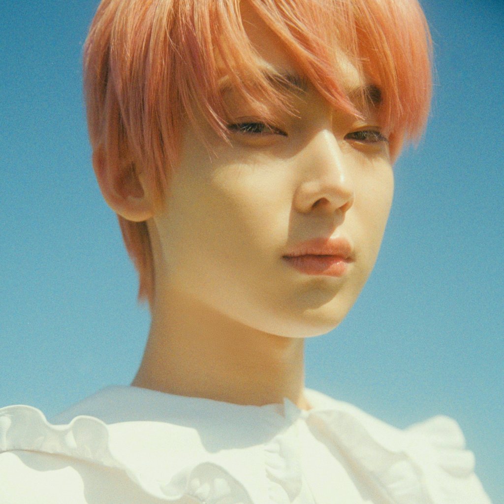 ddoies's tweet image. ㅡ i long to be a sunflower, a lover of the golden light.

#NewYearsDayPSILY