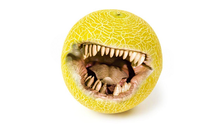NfFrodo's tweet photo. @TinyTac Have you tried our Fruit? It's Wild!
🥒🐊🍋🍑🥭🍆🐟🦈🍇🍏🥝
https://t.co/Aj6YZ75Rdf
#NFTartists #nftart #NFT #NFTs #nftcollectors #nftcollector @opensea https://t.co/OKMXIimv5P