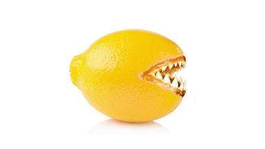 NfFrodo's tweet photo. @TinyTac Have you tried our Fruit? It's Wild!
🥒🐊🍋🍑🥭🍆🐟🦈🍇🍏🥝
https://t.co/Aj6YZ75Rdf
#NFTartists #nftart #NFT #NFTs #nftcollectors #nftcollector @opensea https://t.co/OKMXIimv5P