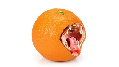 NfFrodo's tweet photo. @TinyTac Have you tried our Fruit? It's Wild!
🥒🐊🍋🍑🥭🍆🐟🦈🍇🍏🥝
https://t.co/Aj6YZ75Rdf
#NFTartists #nftart #NFT #NFTs #nftcollectors #nftcollector @opensea https://t.co/OKMXIimv5P