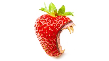 NfFrodo's tweet photo. @nfttobuy Wild Wild Fruit!
Check out my pinned tweet for a Wild holiday deal.
🥭🥑🍒🍏🥝🍌🍑🦁🌵🍍🦎
https://t.co/Aj6YZ6OglH
#OpenSeaNFT #NFT #NFTs #nftart @opensea #NFTartists #nftcollector https://t.co/sk9SBWZLz3