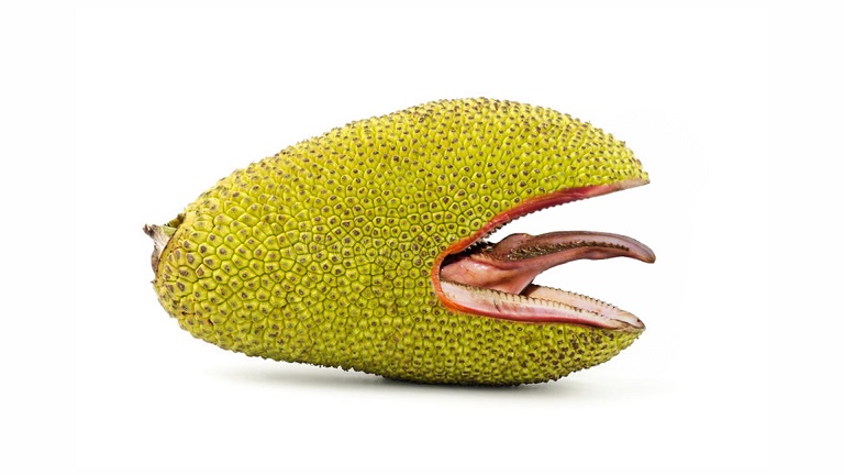 NfFrodo's tweet photo. @nfttobuy Wild Wild Fruit!
Check out my pinned tweet for a Wild holiday deal.
🥭🥑🍒🍏🥝🍌🍑🦁🌵🍍🦎
https://t.co/Aj6YZ6OglH
#OpenSeaNFT #NFT #NFTs #nftart @opensea #NFTartists #nftcollector https://t.co/sk9SBWZLz3