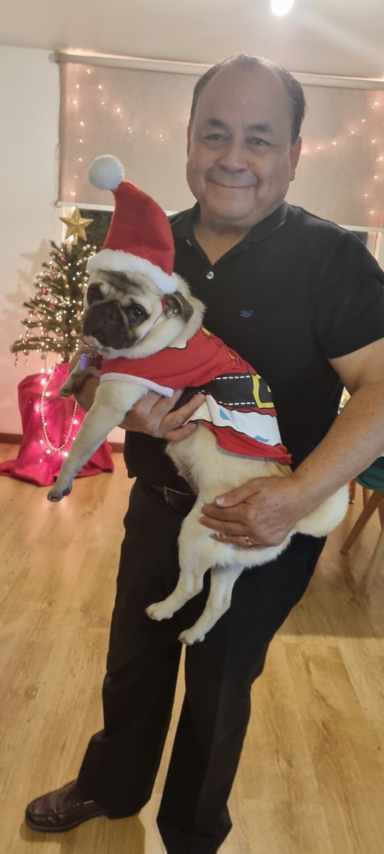 RocioMarquezY's tweet photo. #TuDeseoMG2022 #MuchoGustoMG 
Nuestro deseo es que la cachorra deje de hacer pipí en el sillón https://t.co/gUllKJkoyR