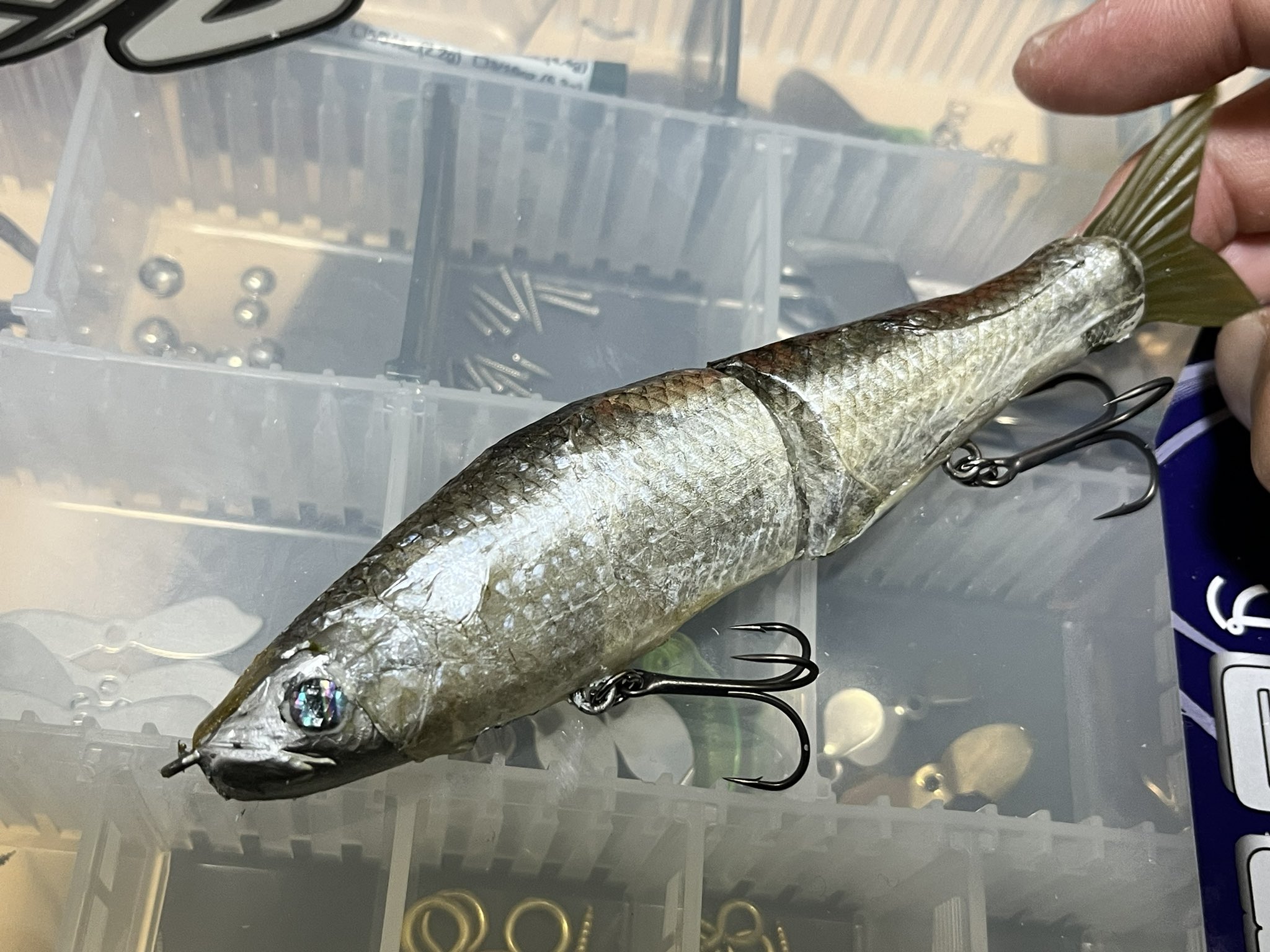 激レア 魚皮貼り サルモスライダー ブルーギル皮貼り 超リアル 【公式