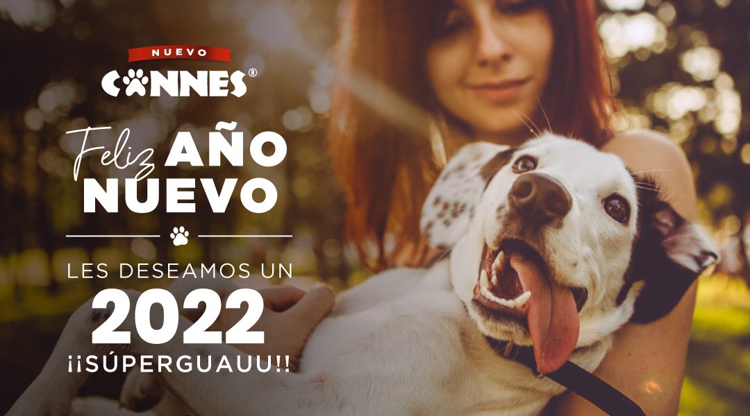 cannes_chile's tweet photo. Gracias a todos por ser parte de esta familia de #PerrosBacannes y haber compartido con nosotros tantos momentos este 2021.
Por un 2022 creciendo juntos y aprendiendo cada vez más de nuestros peluditos que tanto amamos ¡Feliz Año Nuevo les deseamos desde el equipo #NuevoCannes! https://t.co/gMGN0ZIBeY