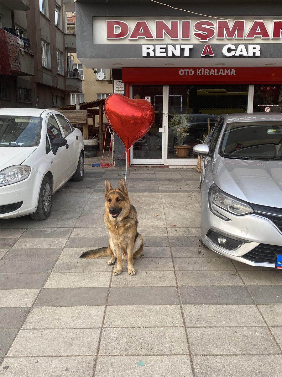 Paşa yılbaşına hazır