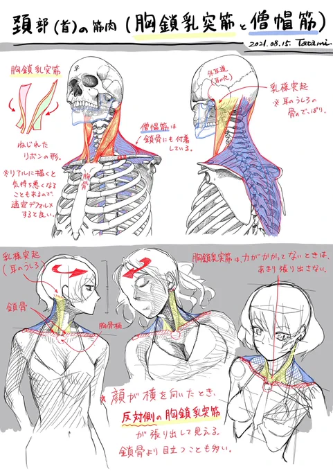 2021年は絵で新しいこと始められて幸運でした。来年も飽きない程度に継続します。 #2021年自分が選ぶ今年の4枚 