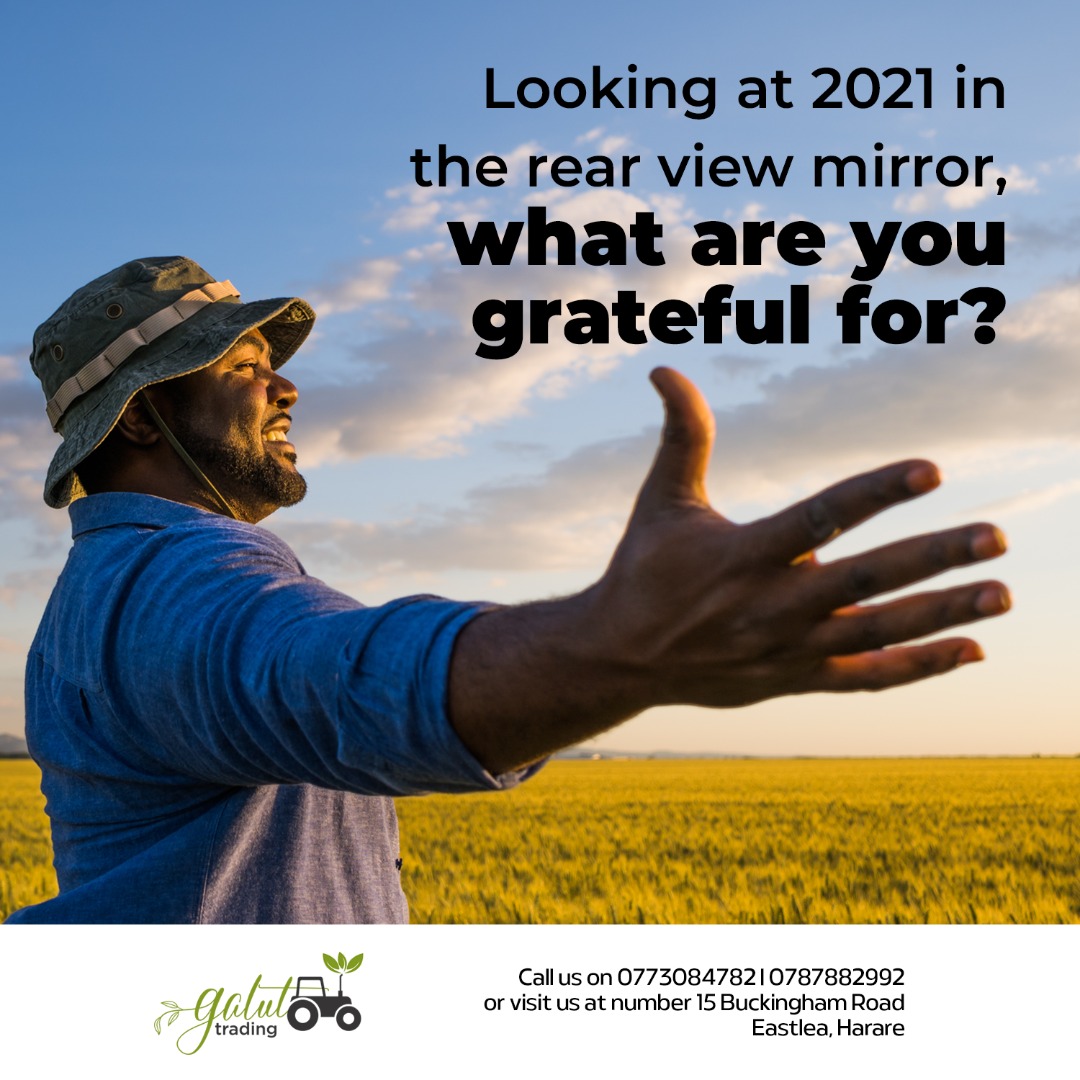 As the year comes to an end, let's have a look back at our wins in 2021.

We are grateful for you, our clients, you keep us going! Thank you for your support in 2021. 

What are you grateful for?