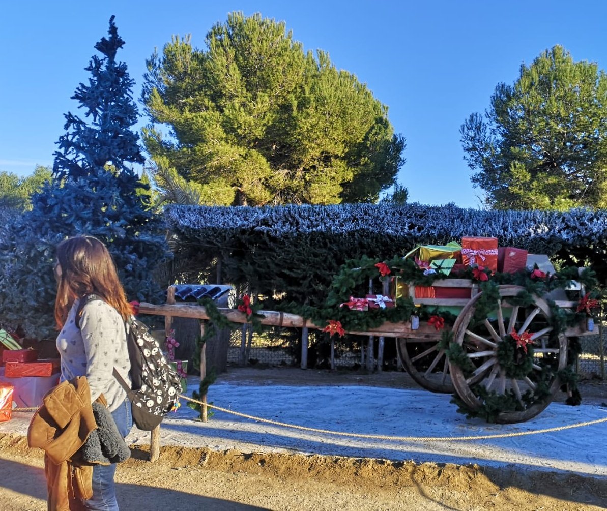IcueTours's tweet photo. Despedimos el año 2021 con estas imágenes del Parque Rafael de La Cerda.
#Cartagena #YoSoyIcue #turismoengrupo #turismo #Patrimonio #costaCalida https://t.co/tw3c4ZfonX