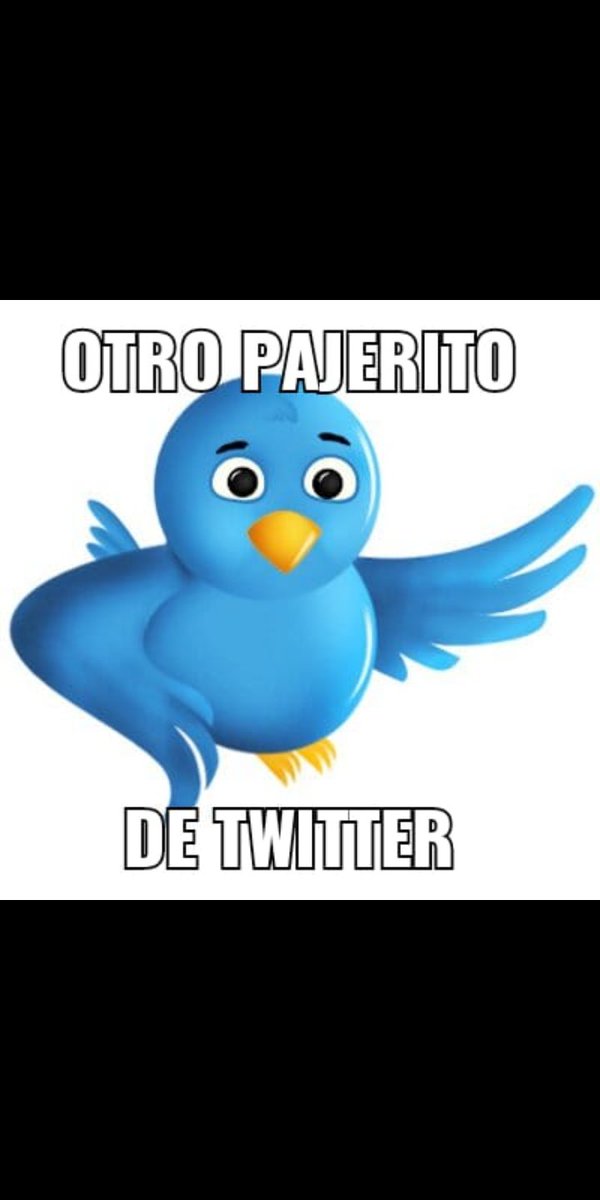 JMetoko2's tweet photo. @AndresGerman_gc @ismacastagnet @EjercitoUy Y vos sos el gran vivo, no? 
Pilotito de PC https://t.co/5nmyLMofkY
