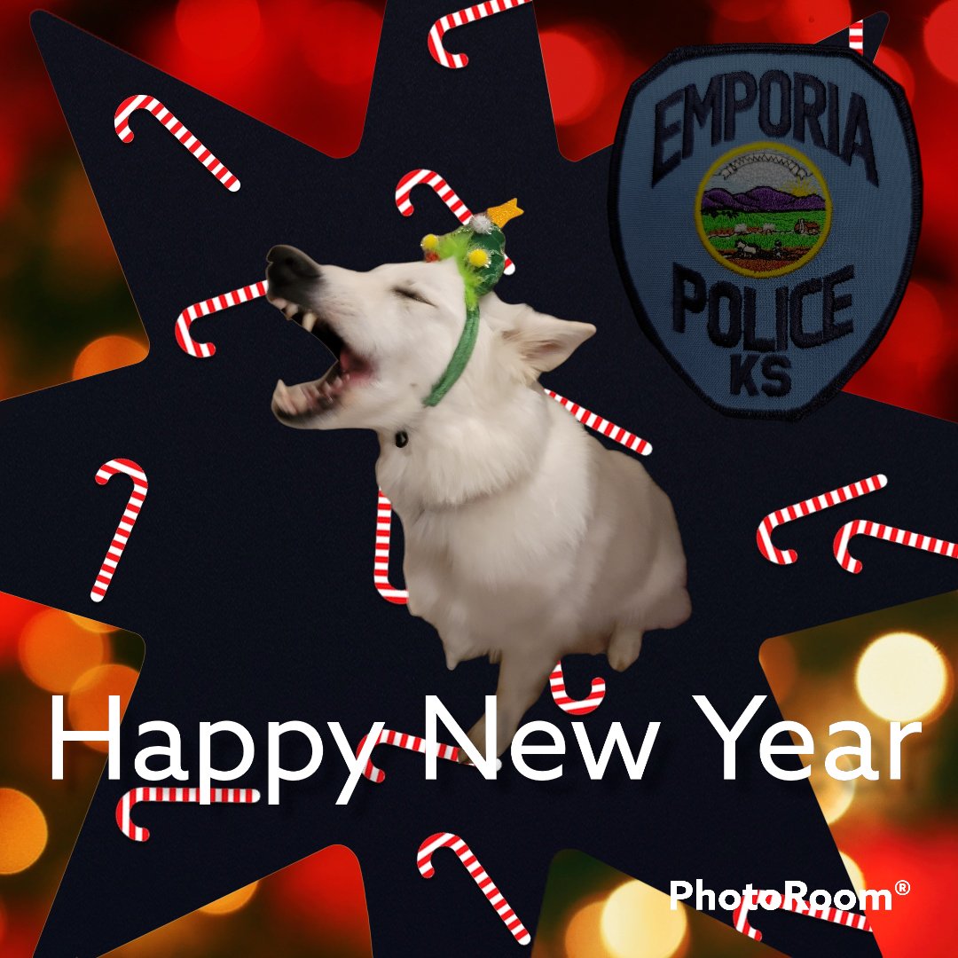 If you are going out tonight for a howling good time, make sure you have a sober ride home.  You don't want to end up in the pound.  Happy New Year.