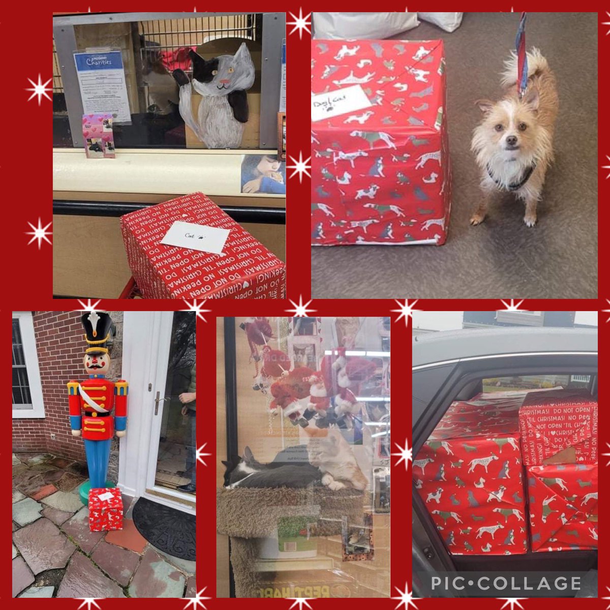 KidsAdoptAShelt's tweet photo. #volunteers #kidsvolunteering #volunteers #volunteering #RescueDogs #community #rescuedog #RESCUE https://t.co/A8nyV9U1rt