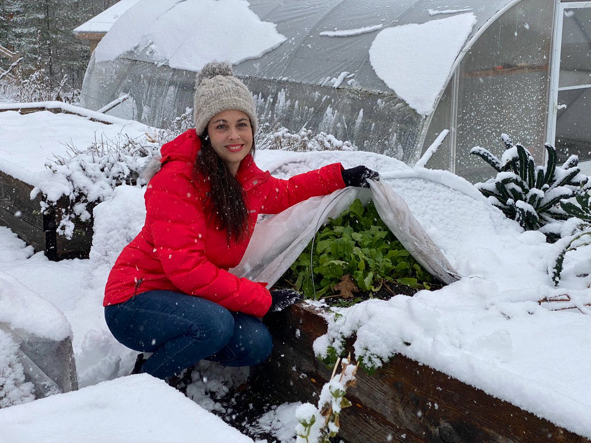 NikiJabbour's tweet photo. On this last day of 2021 I wish you all a very Happy New Year! I hope 2022 offers you good health, much happiness, and of course a bumper crop of your favourite veggies! 🍅🥕😁🎉 https://t.co/dOYCWC7aKs