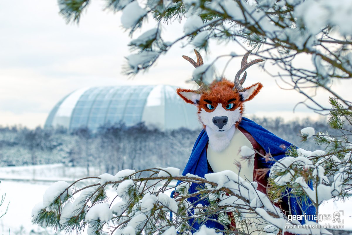 Noweti / Deerweti tweet media