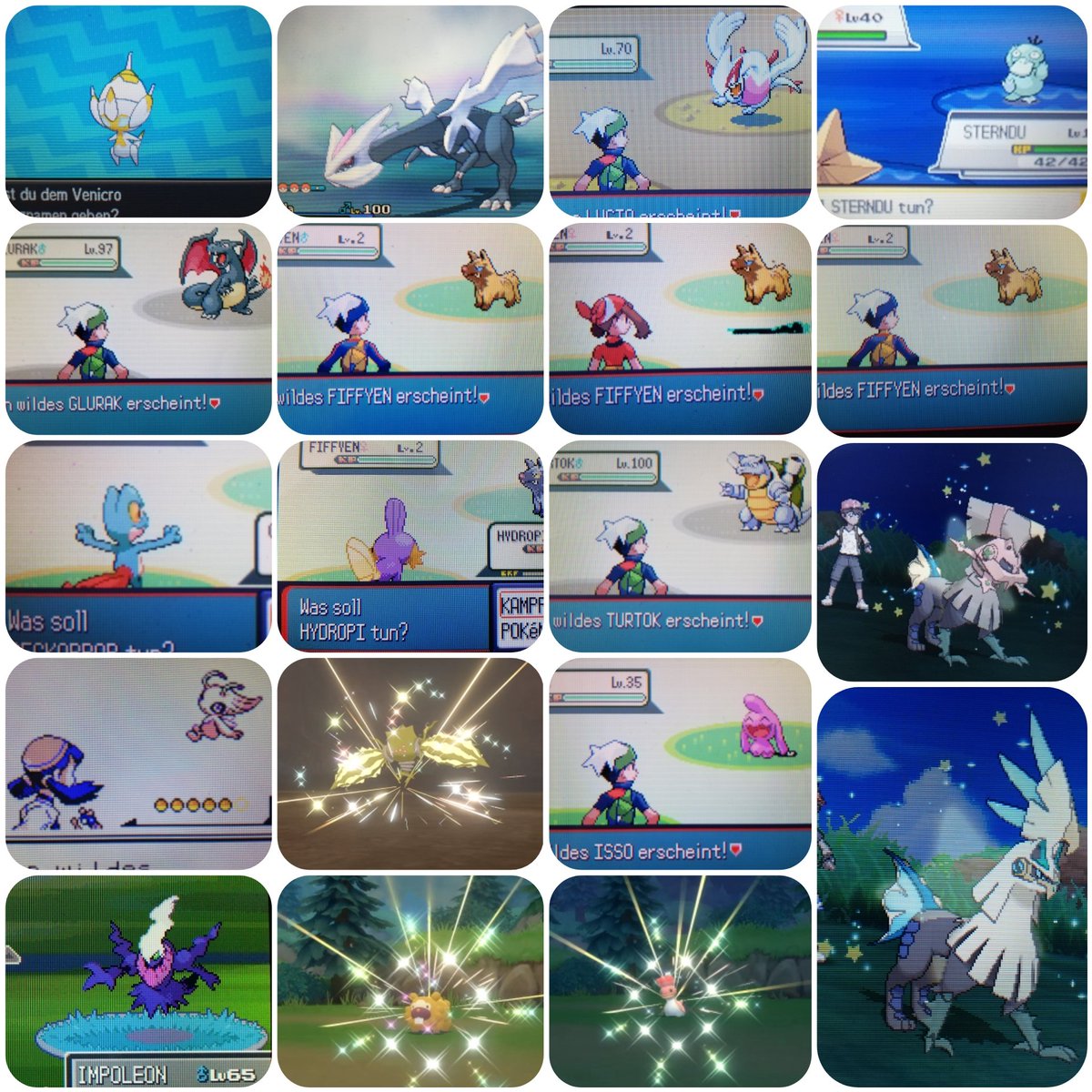 L0WIE__'s tweet photo. ✨Here is my 2021 Full Odds Shiny recap✨

I found 19 Shinies 🔍
I did 72.977 encounters total 🧮
average is 3.841 ➗
highest enc.: Wynaut (17.397)📈
lowest enc.: Poipole (25 SR's)📉

Shiny Living Dex entries: 277 📝
Finished the Alola Dex 🏝️

Amazing year! Ready for 2022 🔥 https://t.co/QXu2tWas84