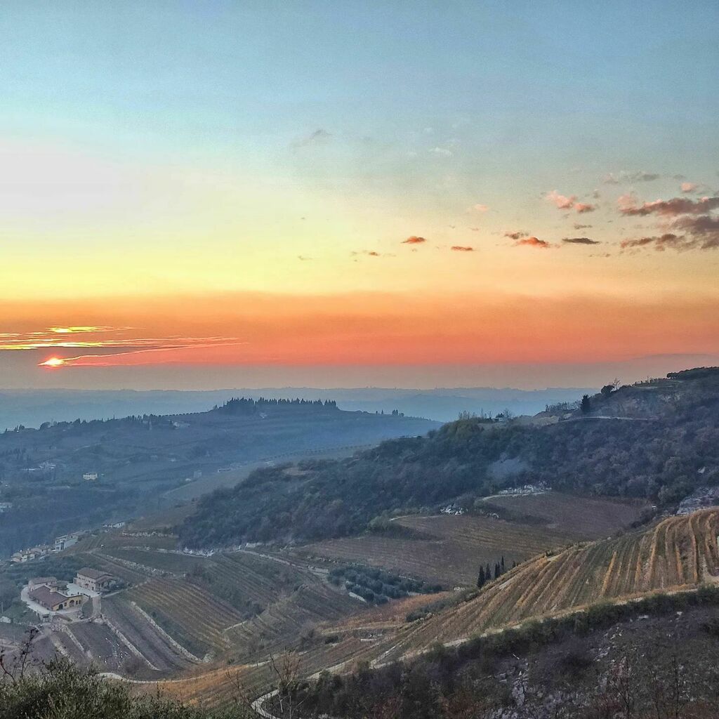 Viaggiando s'impara tweet media