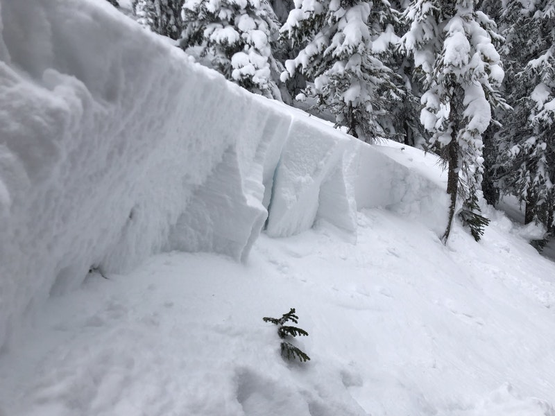 COAvalancheInfo's tweet photo. #CAICSawatch CON(3of5) You can trigger an avalanche large enough to bury or kill you. The most dangerous slopes face north, northeast, and east where avalanches will break deep in the snowpack. You can find safer riding on slopes less than 30 degrees. https://t.co/kiL9xx9SKi https://t.co/tOZcFEAYt6