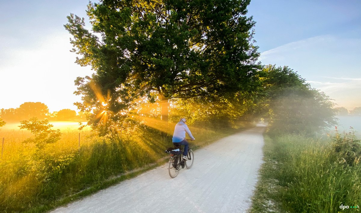 J. Stratenschulte tweet media