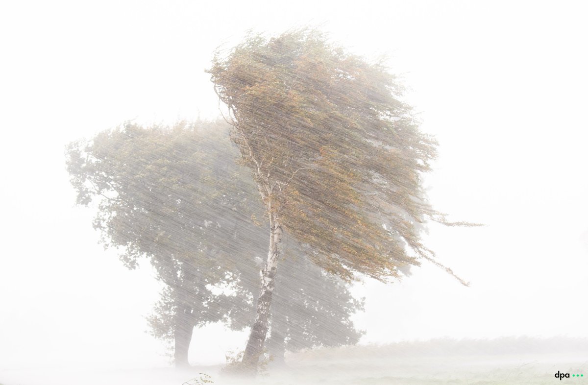 J. Stratenschulte tweet media