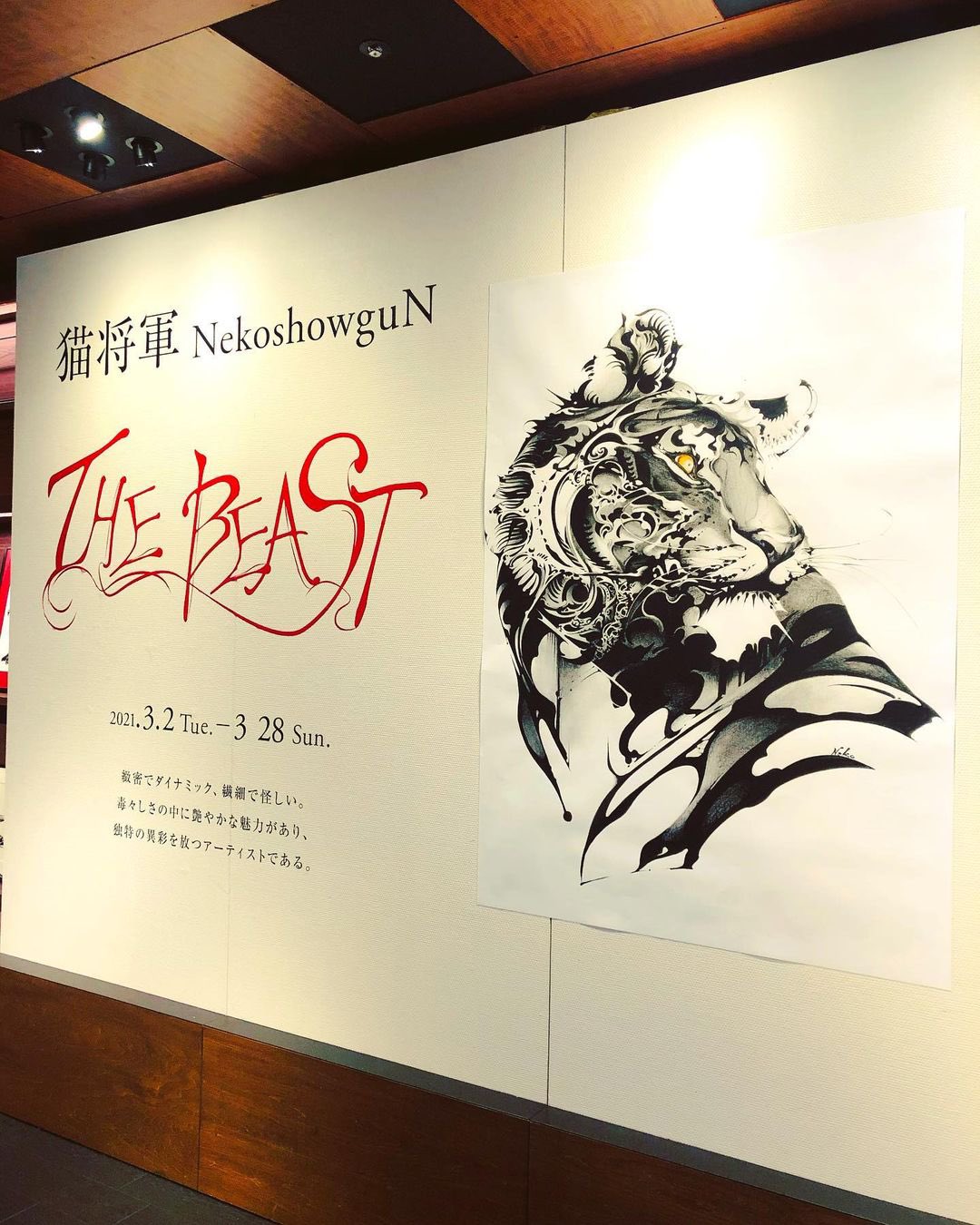 猫将軍 Nekoshowgun على X: 