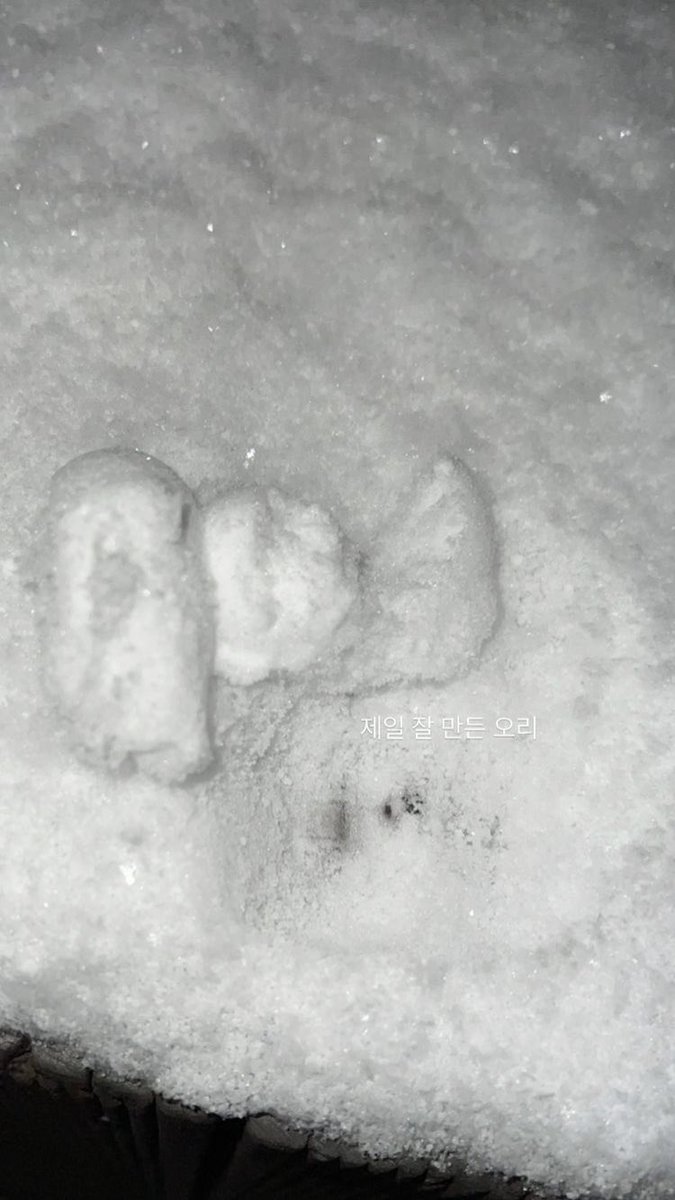 jichuw's tweet photo. The poor story of unshaped Lisa, by Jisoo. Once upon a time, in a very cold winter— live a turtle rabbit kim named Jisoo, trying to make a duck shaped snow but instead it looks like a.. snow. 😔 리사 안녕 자가.. #Poor_Lisa #SafetheDuck #SnowisCold ❄️ https://t.co/Hywd9UUDix