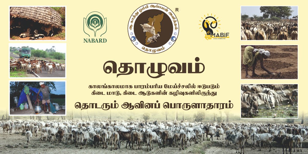 KabilanMadurai7's tweet photo. இனிய ஆங்கிலப் புத்தாண்டு வாழ்த்துகளோடு - தொழுவம் செய்தி

பாரம்பரிய மேய்ச்சலில் ஈடுபடும் புலிக்குளம் கிடை மாடுகளின் கழிவுகளில் இருந்து இயற்கை விவசாயம் செய்ய முதல் கட்டமாக  "தொழுஉரம் முதல் பூச்சி விரட்டிகள் வரை" (14 பொருட்கள்) ஜனவரி முதல் விற்பனை தொடக்கம்... https://t.co/oFxT0azD0v