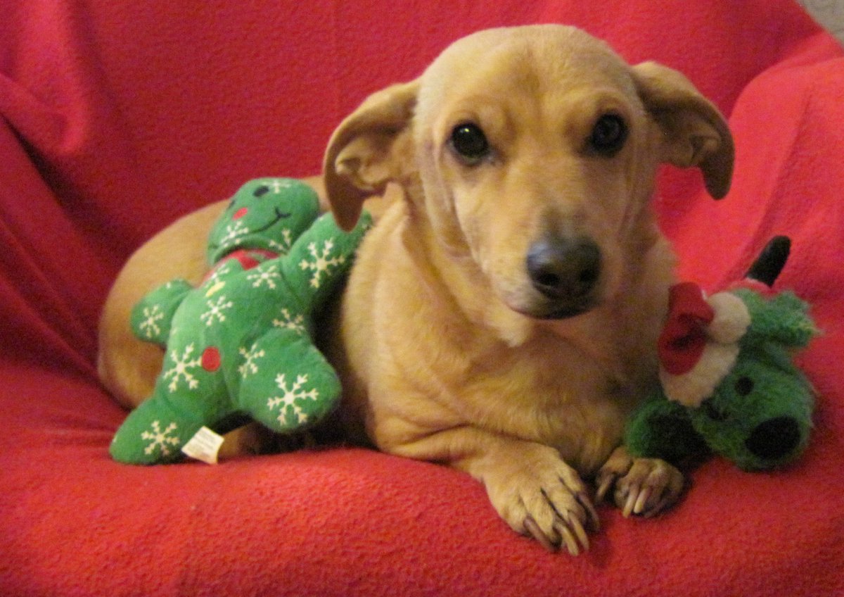 Barbara Kelly tweet media