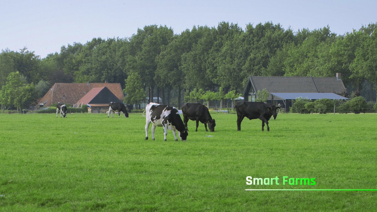 Lorinnetwork's tweet photo. Adequate climate conditions are very important for farm animals. A proper #smartventilationsystem lets animals feel good and healthy, because it monitors temperature, humidity and air quality to the perfect dosage.
#lorin #lorinnetwork https://t.co/gyivPHCmL7