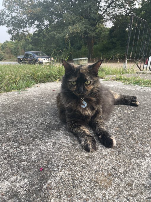 My number one baby https://t.co/vMFkMxYd25