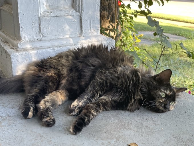 My number one baby https://t.co/vMFkMxYd25