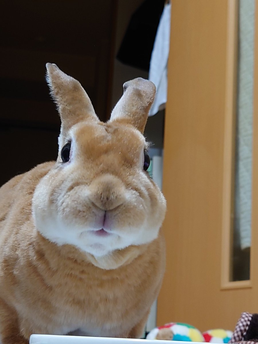 よいお年を(*´ω｀*)