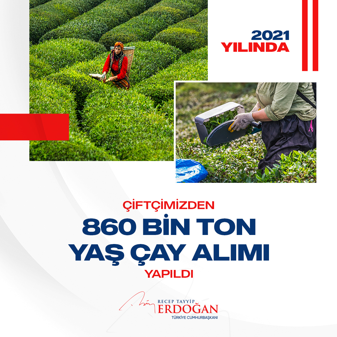 860 bin ton yaş çay alımı gerçekleştirdik. Böylece çiftçimize 3,4 milyar TL ödedik.