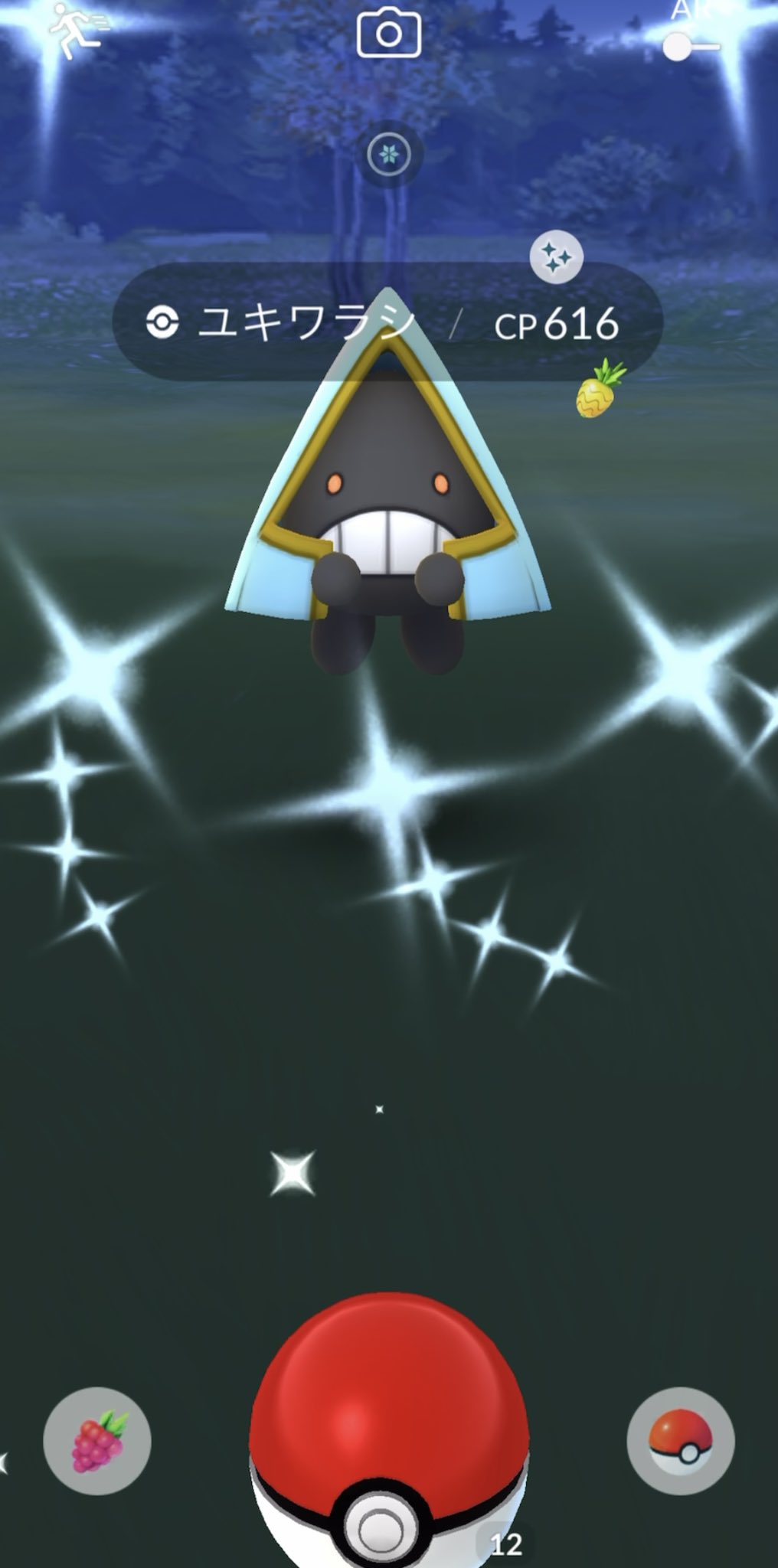 Vermouth 今年最後の色違い ポケモンはユキワラシで終了 ੭ 少しずつではありますが Twitterで ポケモンgoのトレーナーさんと出会える事が出来ました ٩ W و よく分からない者にいいね して下さりありがとうございました Ov V O 良いお年を