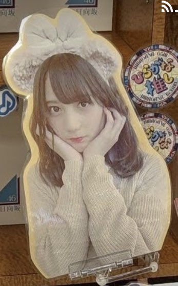 naoccccccc's tweet photo. このこさかなの写真どこにあるか知ってる人いたら教えて欲しいです... https://t.co/hvbWCeImPs