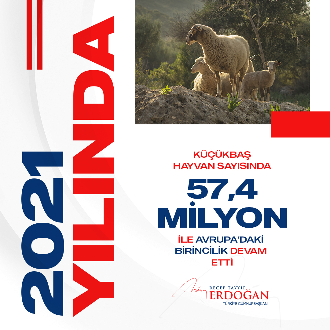 Küçükbaş hayvan sayısında 57,4 milyon ile Avrupa’daki 1'inciliğimiz devam etti.