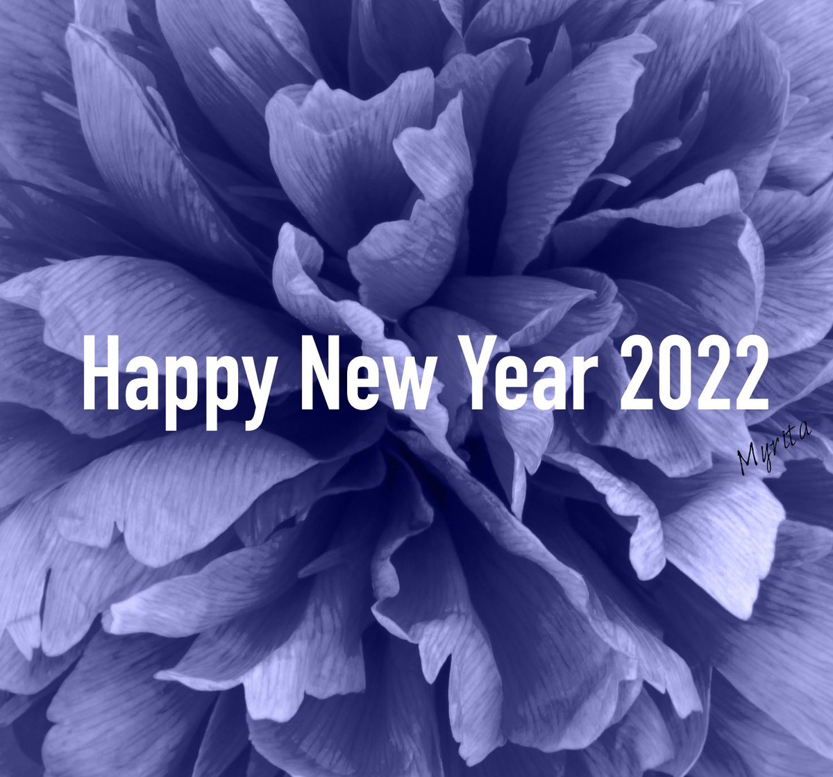 myritabook's tweet photo. 🤩🥳 Wishing every a happy and healthy New Year. All the Best in 2️⃣0️⃣2️⃣2️⃣,

Accompanying music: https://t.co/0S5lYk6MMO
#myrita #learn #newpossibilities #healthylifestyle #positivity #lifegoals #selfcare #pantone2022 #newyear2022
💝 https://t.co/OyCai2A61r