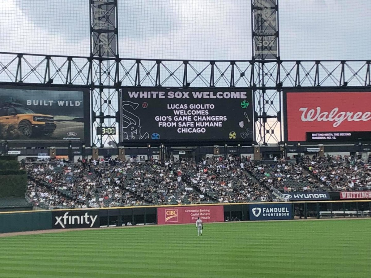 SafeHumane's tweet image. Help us finish 2021 strong so we can focus on all-star programs! Join White Sox pitcher Lucas Giolito and his wife Ariana in donating to support our programs for the dogs and youth who have been impacted by trauma yet are finding paths to better lives. 
#HumanAnimalConnection
