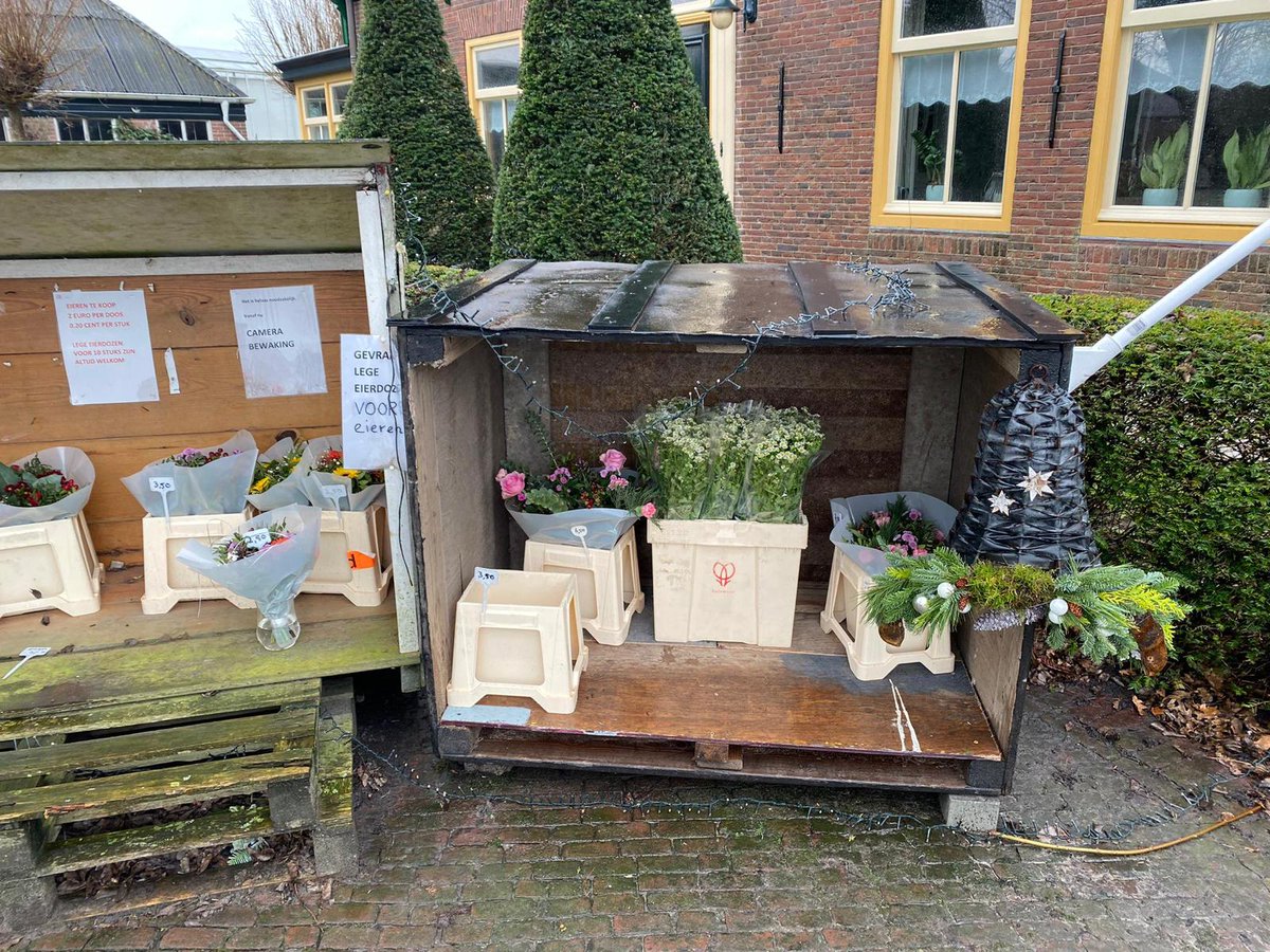 De oogst van de Tanacetum op hydroponic, powered by <a href="/Stimuflori/">Stimuflori</a> , <a href="/Vertify_nl/">Vertify</a> , @Biobest_Group en Kwekerij de Kaag, is prachtig geslaagd! #MBO Plantenteelt studenten Thomas Koning en Timo Borst van @ClusiusCollege Hoorn waren vanmorgen vroeg al aan de slag. Inspirerend onderwijs!